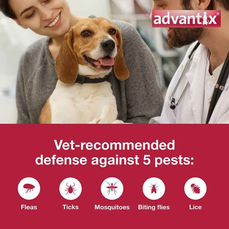 advantix for dogs benefits