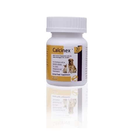calcinex tablet for dogs