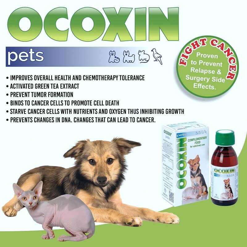 ocoxin syrup dog cat