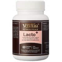 lacto+ for lactating dogs cats