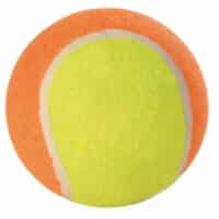 tennis ball for dogs
