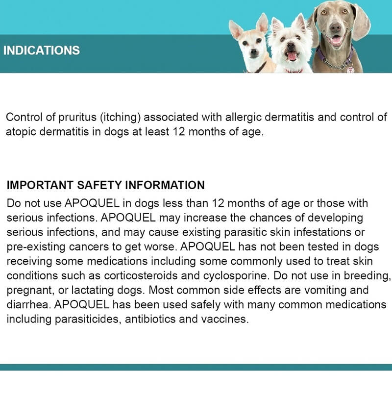 apoquel safety information