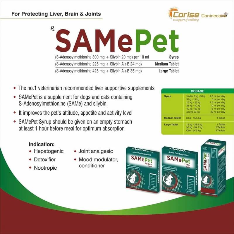samepet for dogs and cats