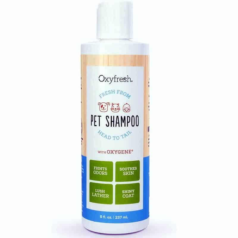 oxyfresh dog puppy shampoo