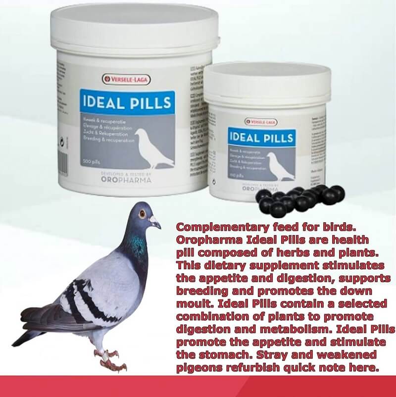 versele laga ideal pills pigeons
