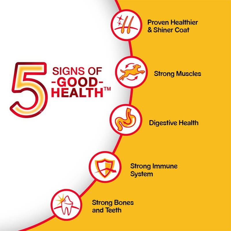pedigree 5 signs of good health