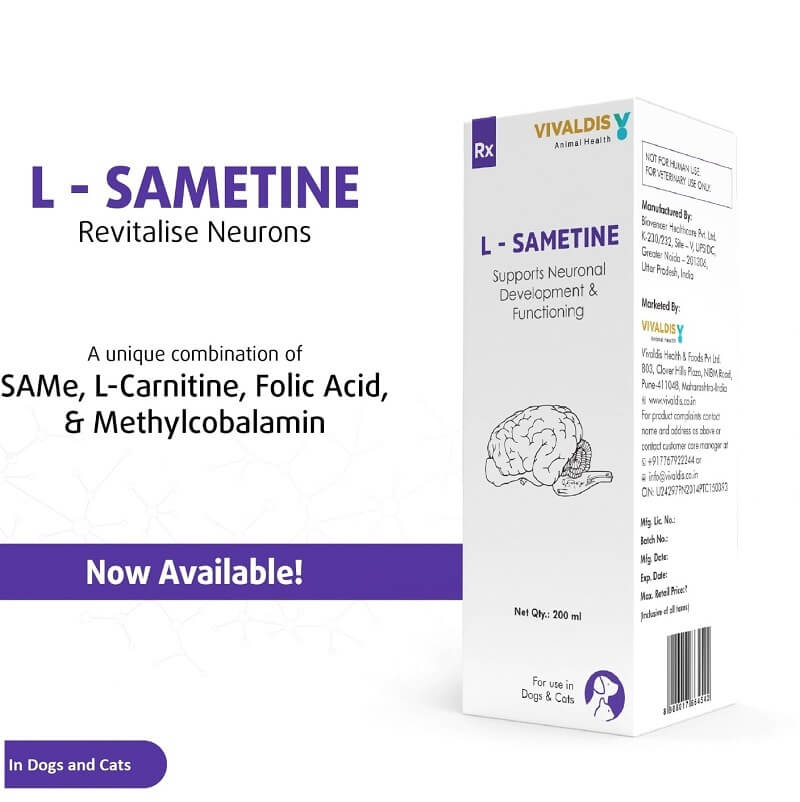 L-sametine syrup for dogs