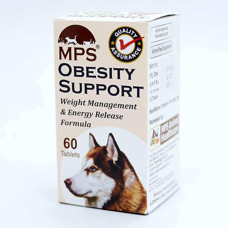 mps obesity support tablets dogs