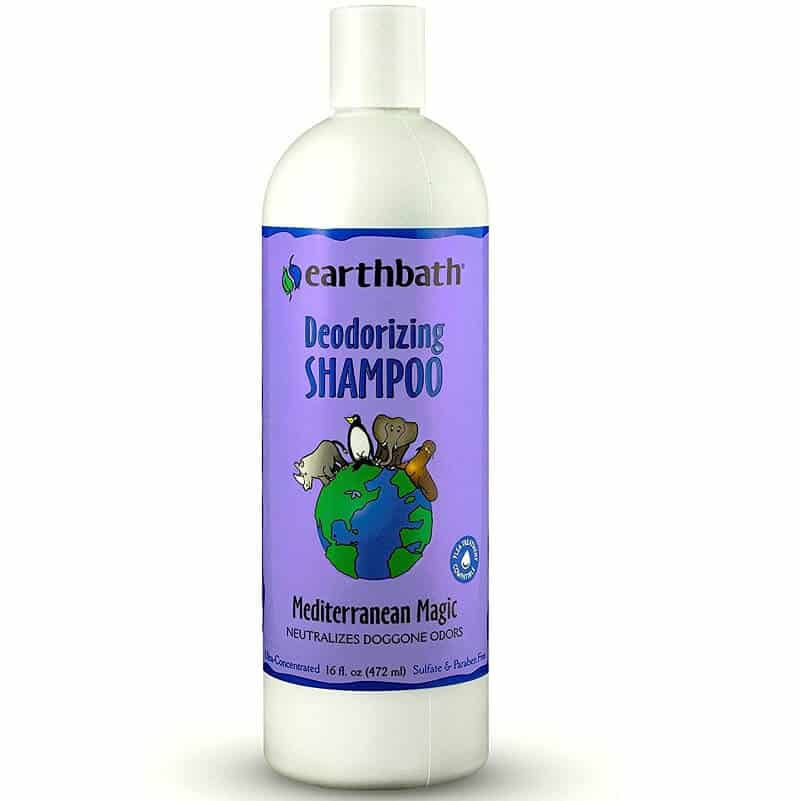 earthbath deodorizing shampoo for dogs & cats