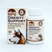 obesity support dogs