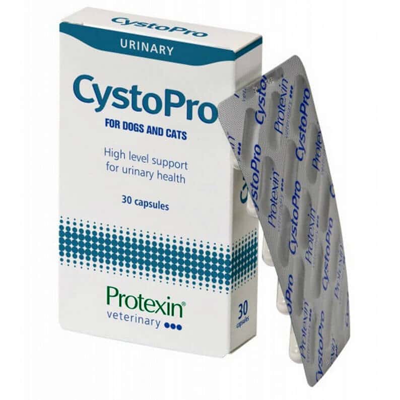 protexin cystopro india