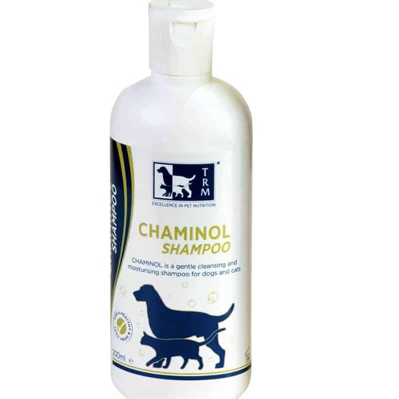 chaminol shampoo