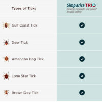 simparica trio ticks fleas heartworm killer