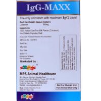 igmax dogs cats