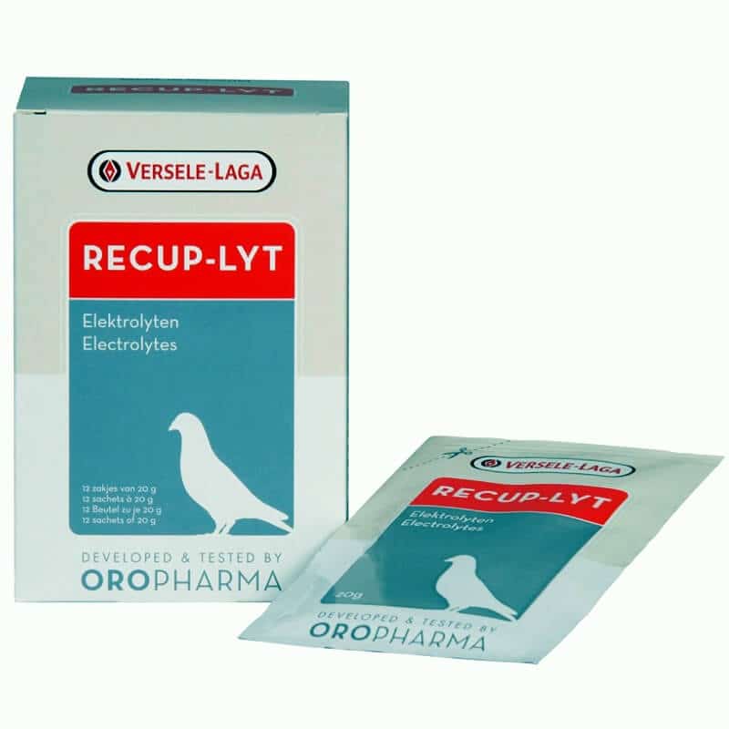 verselel laga recup lyt recuperation pigeons