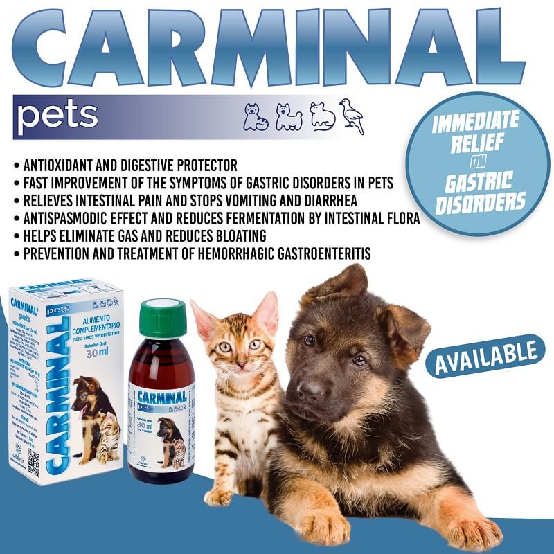 carminal syrup dogs cats india