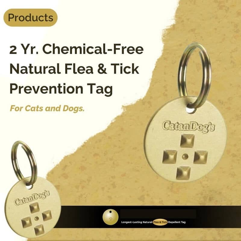 catandogs flea tick prevention tag