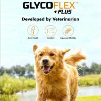 glycoflex plus bone joint supplement dogs