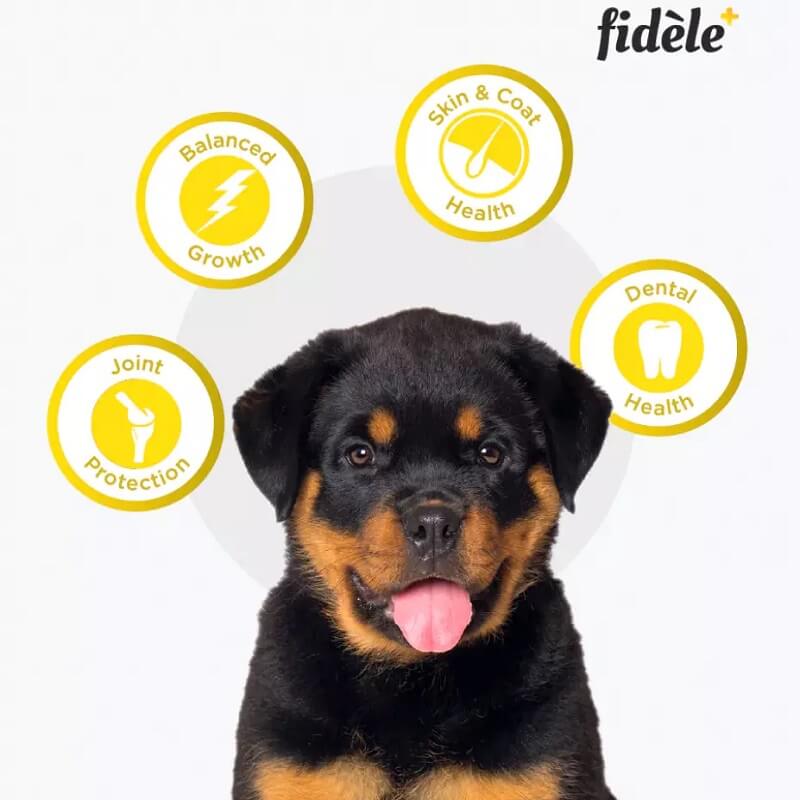 fidele puppy large benefits