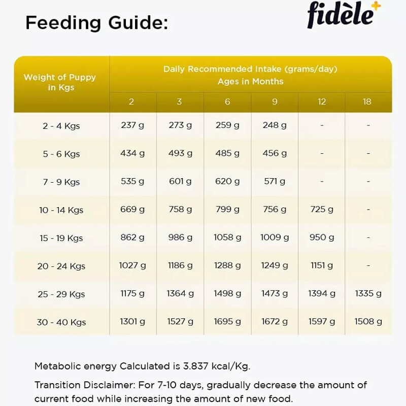 fidele puppy large breed feeding guide