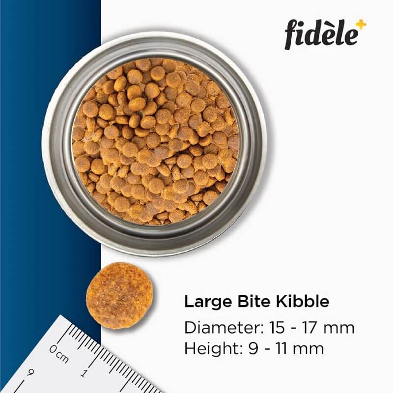 fidele+ large breed adult kibble size