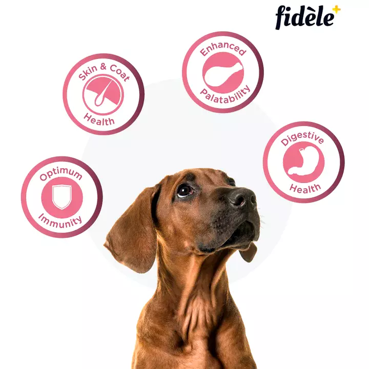 fidele+ small medium breed