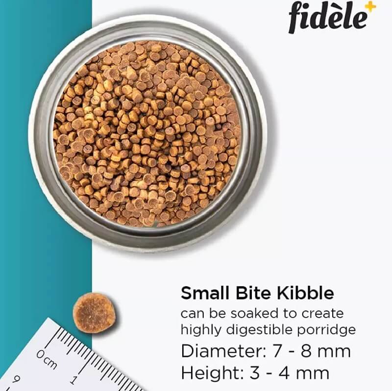 fidele starter small kibble size