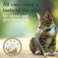 taste of the wild cat food