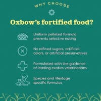 oxbow rabbit guineapig food benefits