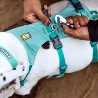 Ruffwear padded dog body collar harness