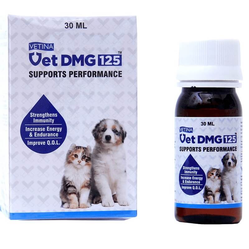 vet DMG syrup dogs cats