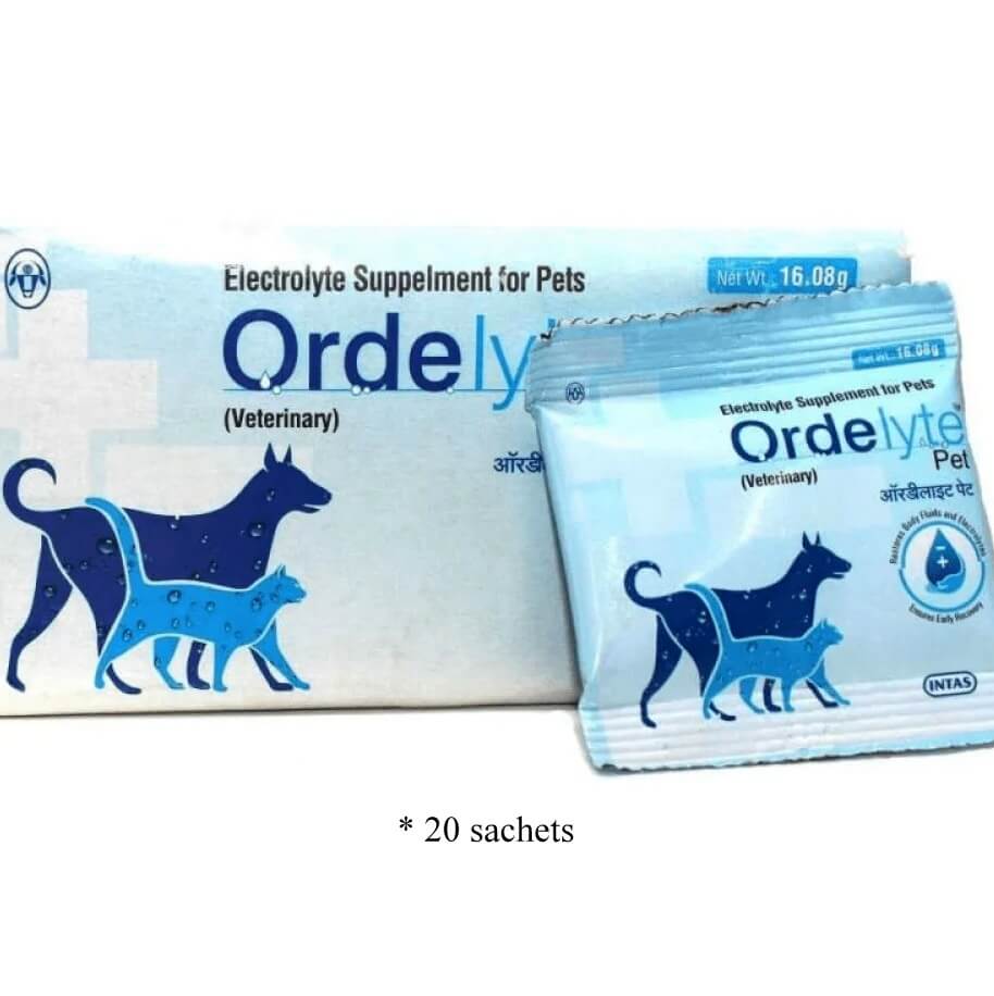 Intas Ordelyte Pet ORS 20 sachets for dogs & cats LoyalPetZone India