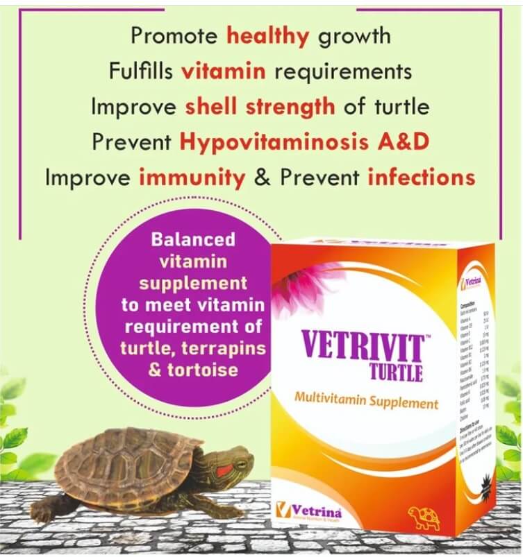 vetrivit turtle drop benefits