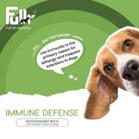full immune defense puppy treat