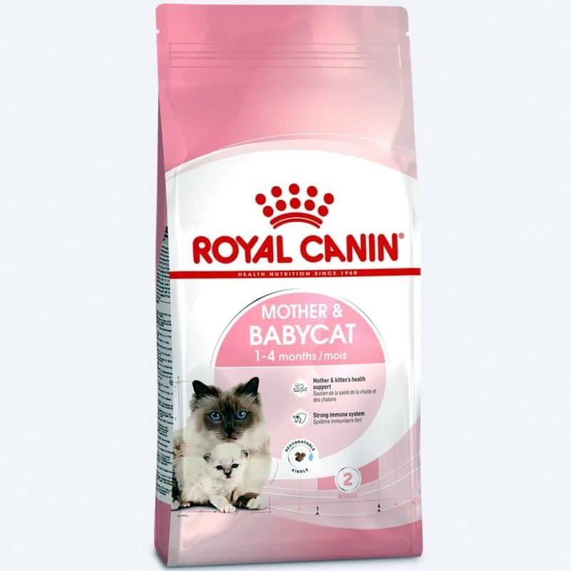 royal canin mother babycat food