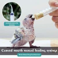 curved mouth syringe for hand feeding