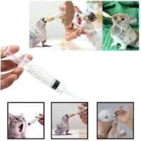 handfeeding syringe pets