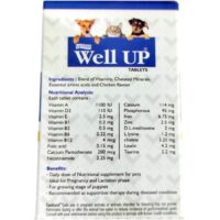 well up tablets ingredients